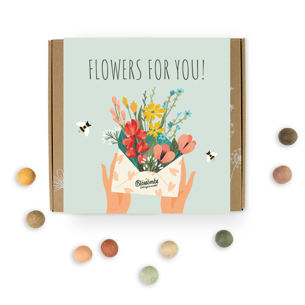 Scatola regalo media - "Fiori per te" con 9 bombe di semi