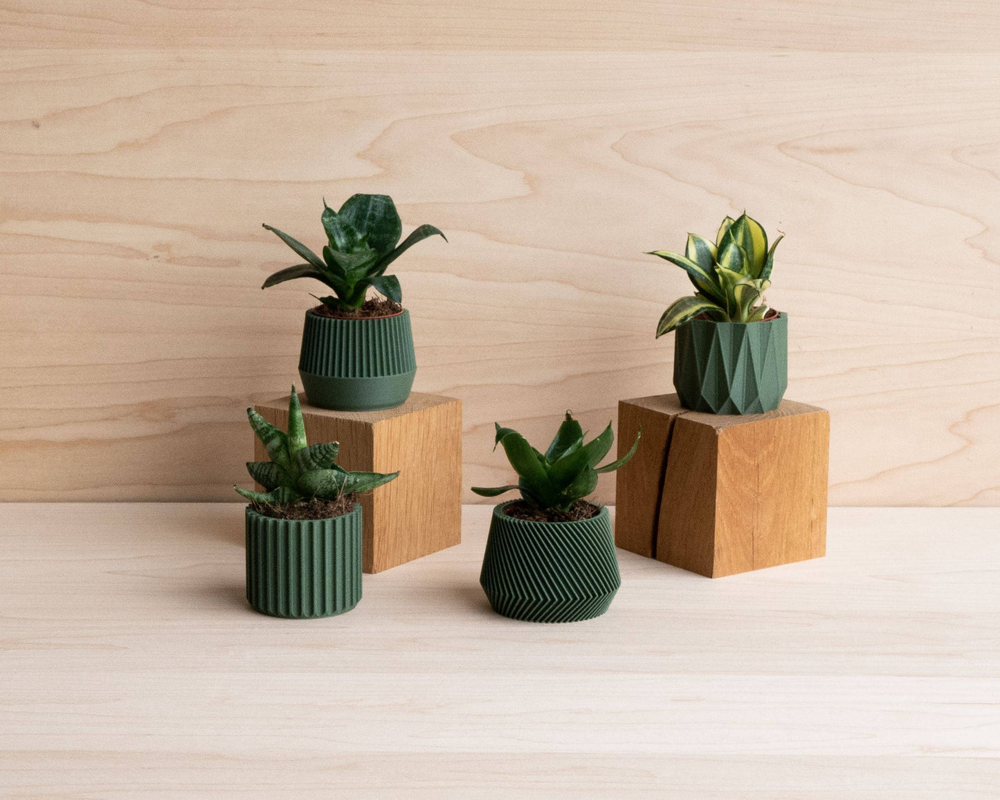 Set di 4 piccoli vasetti verdi - modello Oslo Origami Kobe Stockholm