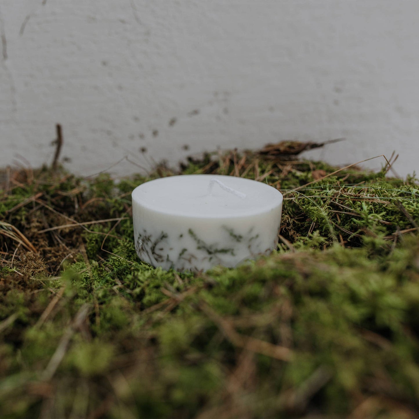Mini candela Muschio - Candela biologica artigianale - Fatta a mano