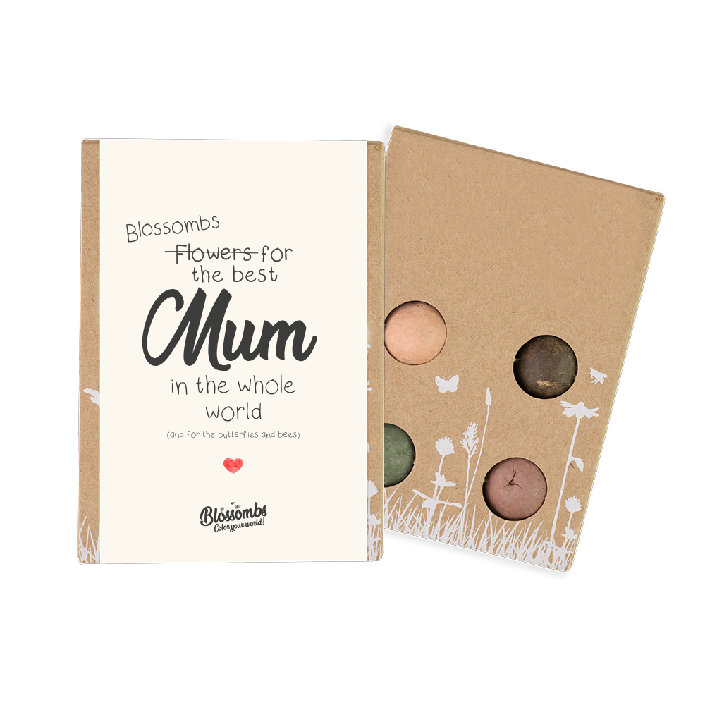 Scatola Regalo Mini - "For the best MUM" con 4 bombe di semi