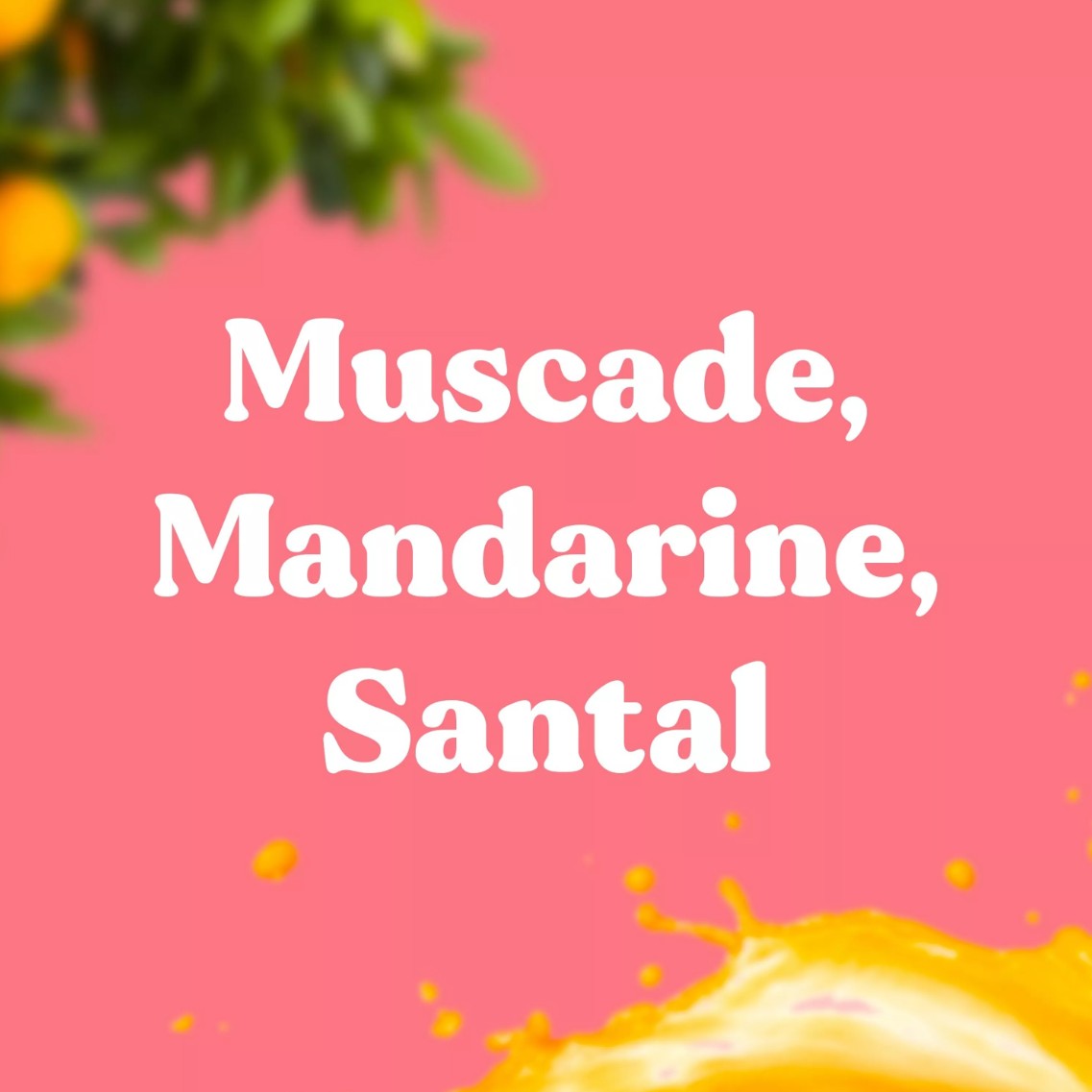 Bloom - Incenso naturale francese - MANDARINO