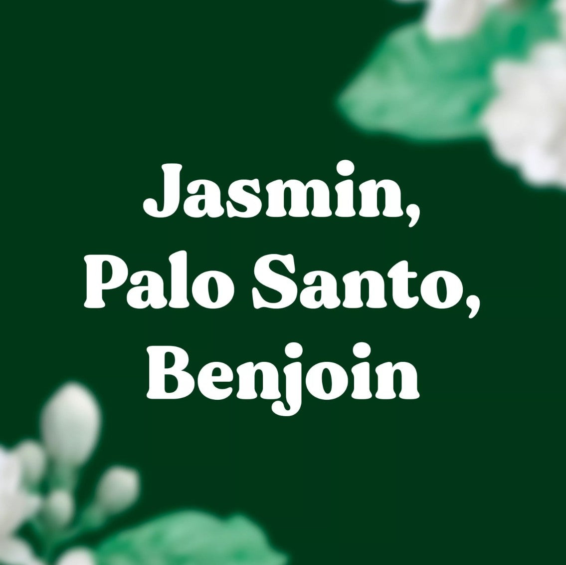 Bloom - Incenso naturale francese - PALO SANTO